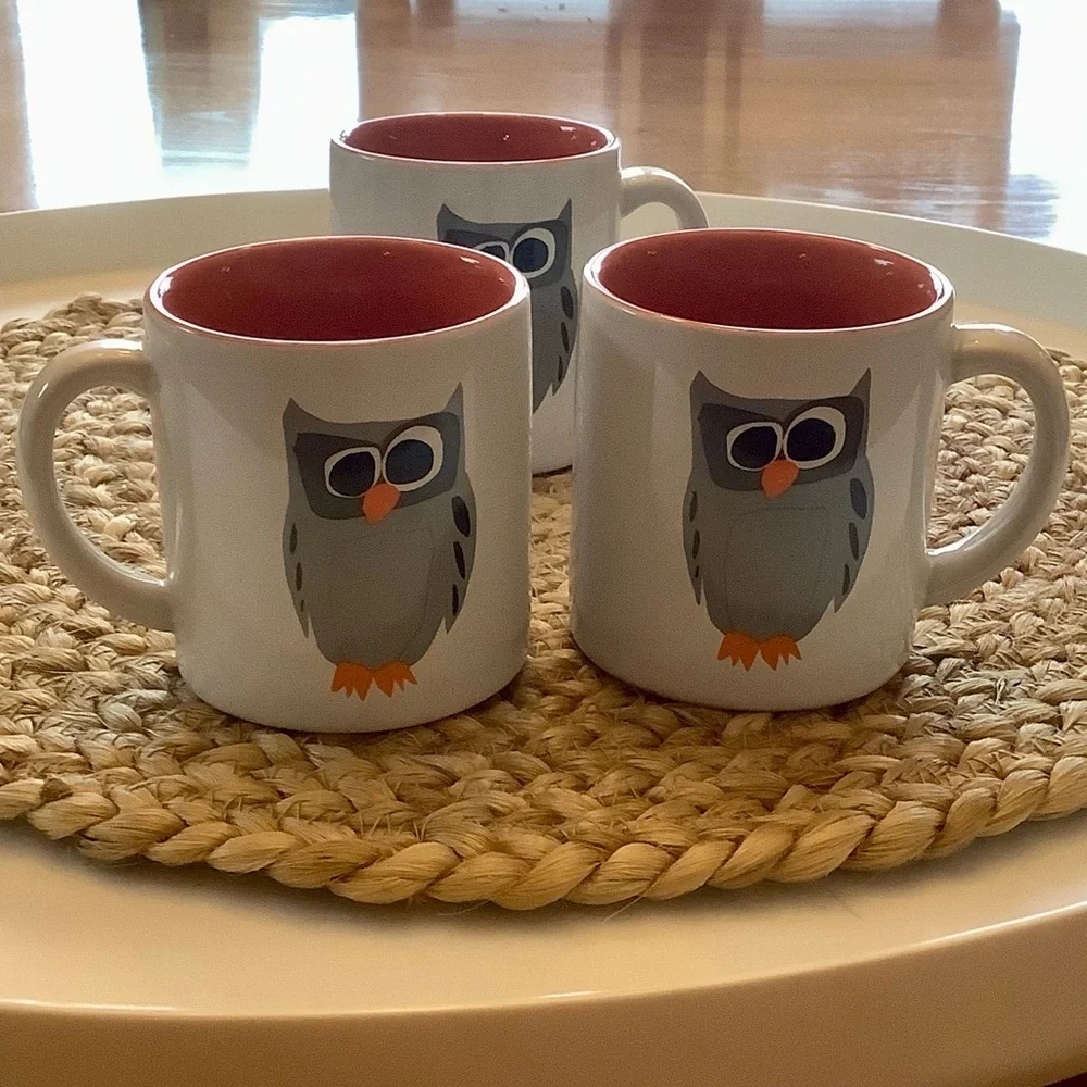 Crate & Barrel Owl Coffee Mug Cup Three Piece Matching Set 8 Ounces * Dual sided